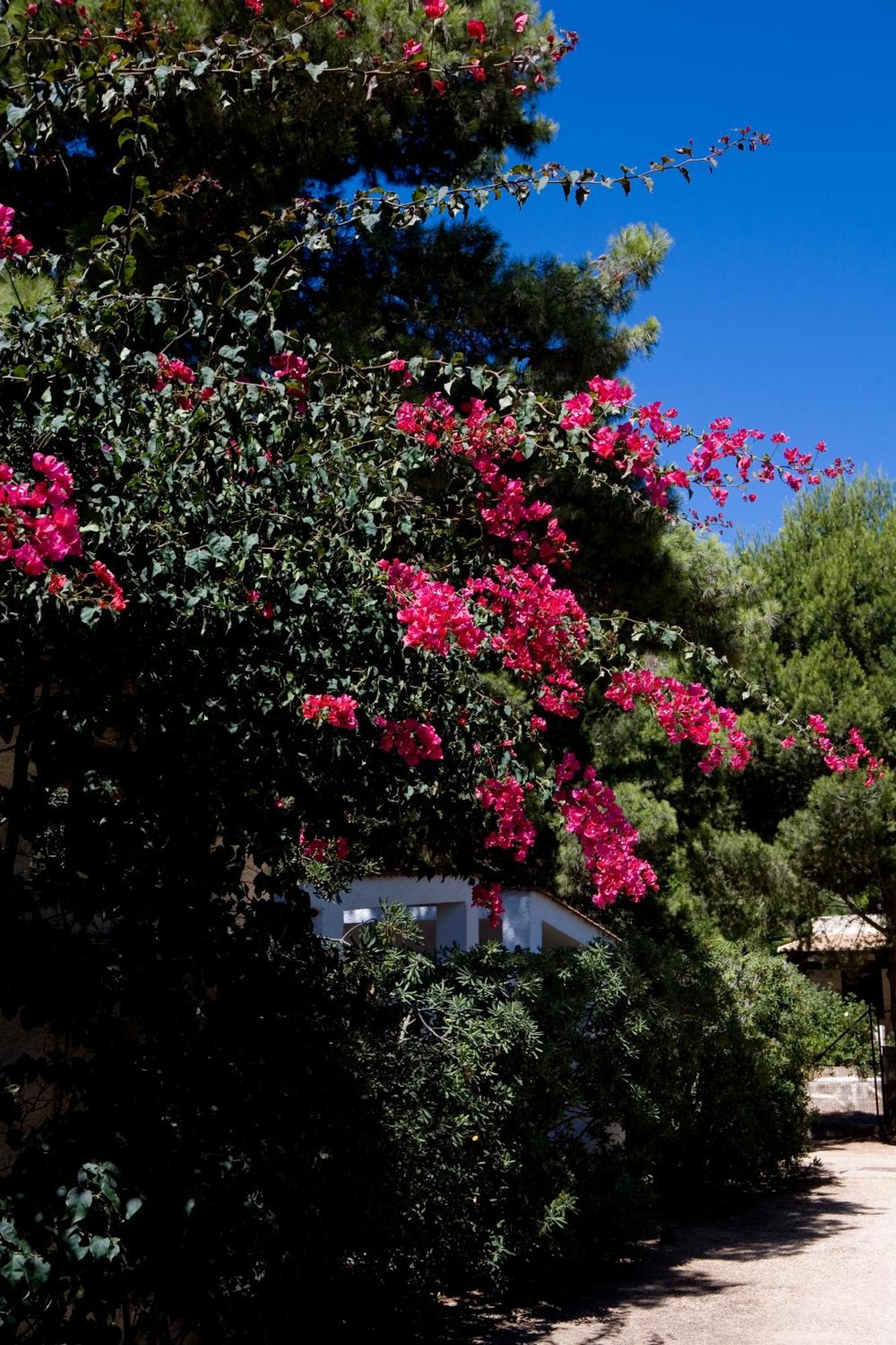 Miramare Residence Favignana Exterior foto