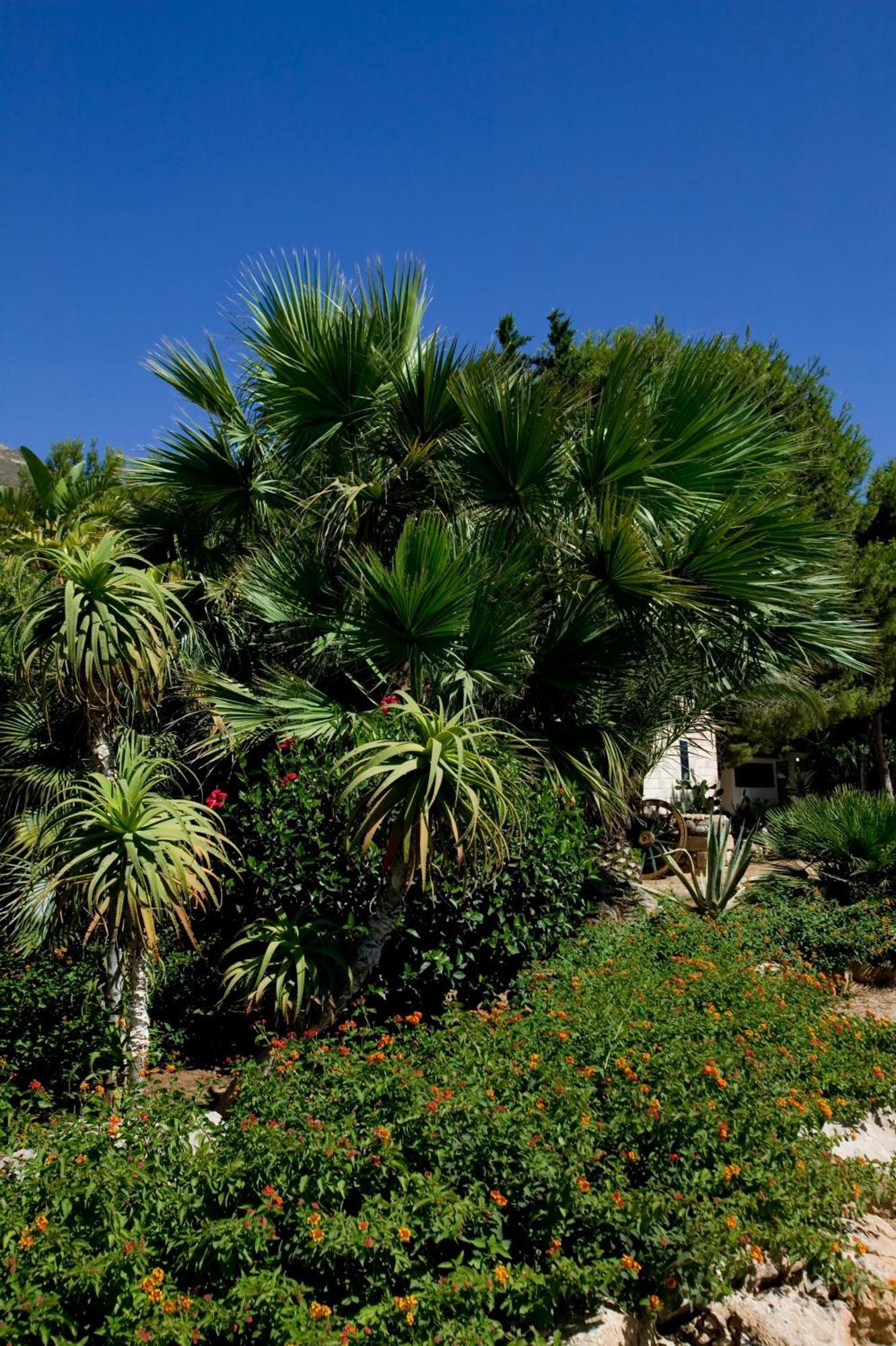 Miramare Residence Favignana Exterior foto